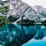 pexels photo 443446 443446